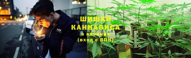 купить  цена  Инта  Бошки Шишки White Widow 